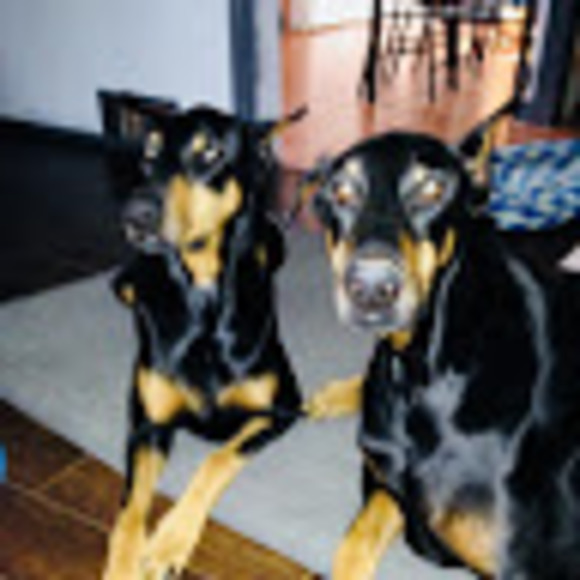 Meet your Posher, Vicky - Picture 1 of 1